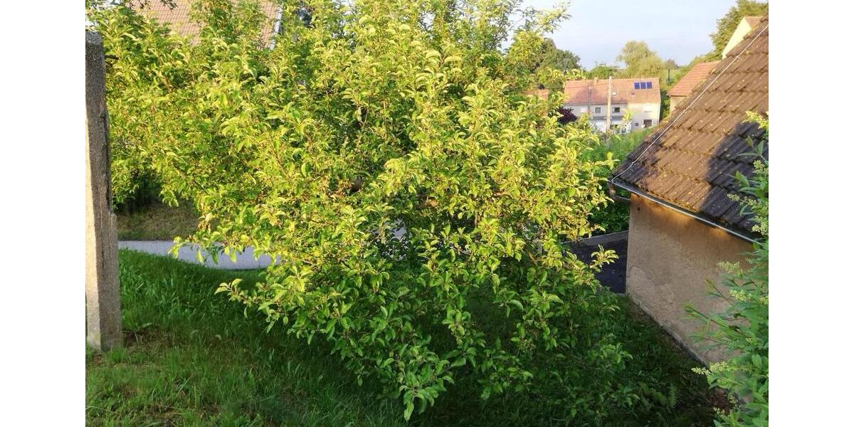 Einfamilienhaus Reichenbach/Oberlausitz Oberlausitz - 4 Zimmer, 80 m&sup2;, 22.800&euro; | Angebot:27469117