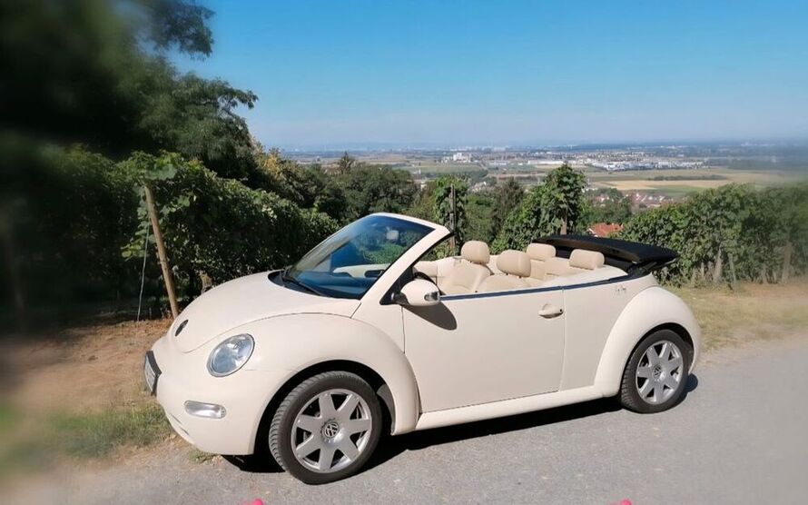 New Beetle