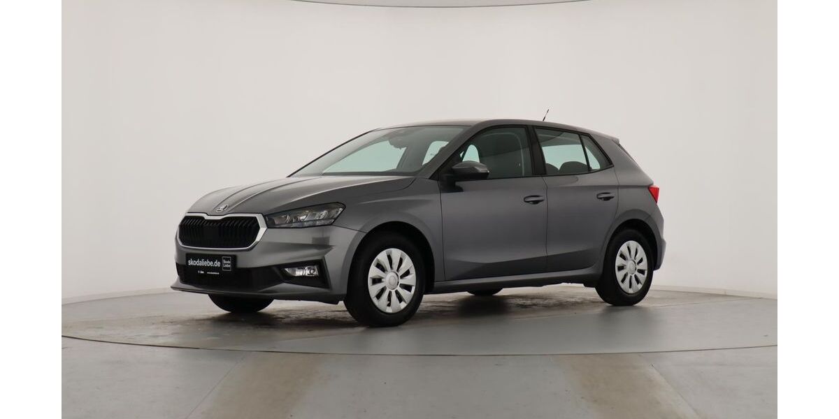 Skoda Fabia 16.989 km 18.889 &euro; Sangerhausen 06526