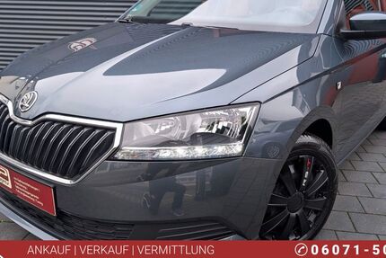 Skoda Fabia 88.000 km 8.490 € Münster (Hessen) 64839