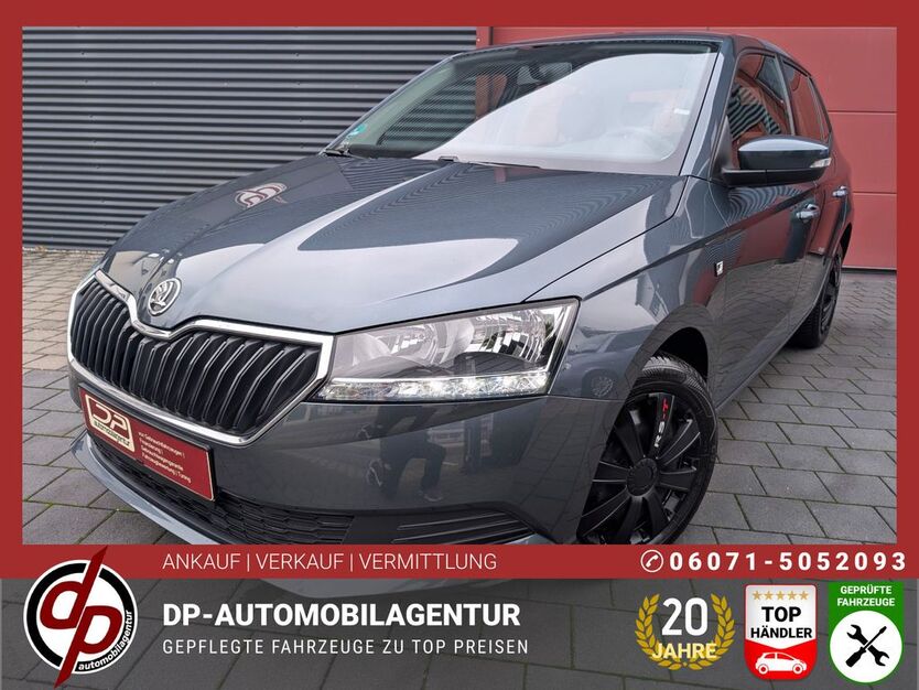 Skoda Fabia 88.000 km 8.490 € Münster (Hessen) 64839