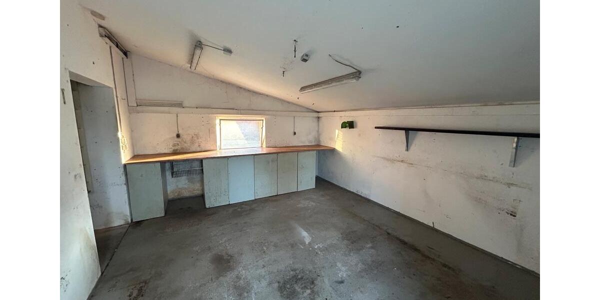 Gewerbeobjekt Blender - 5&euro; | Angebot:24617149