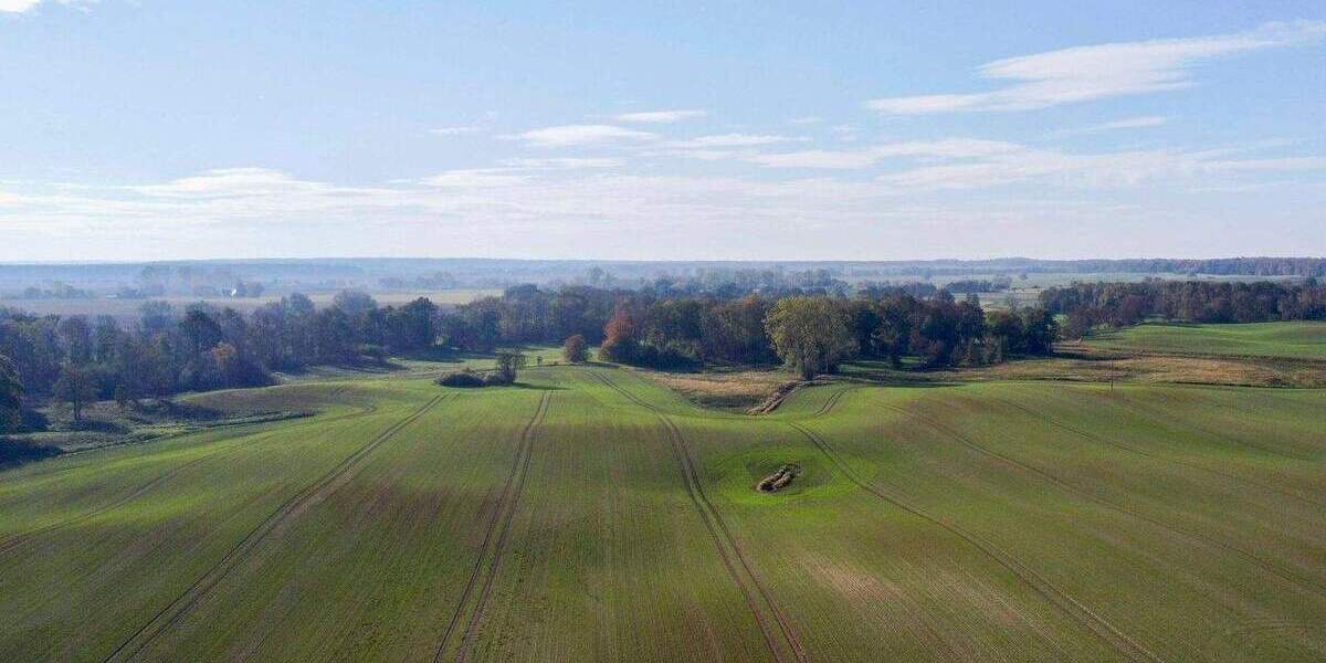 Grundstück Nordwestuckermark Wilhelmshayn - 399.000&euro; | Angebot:25471753