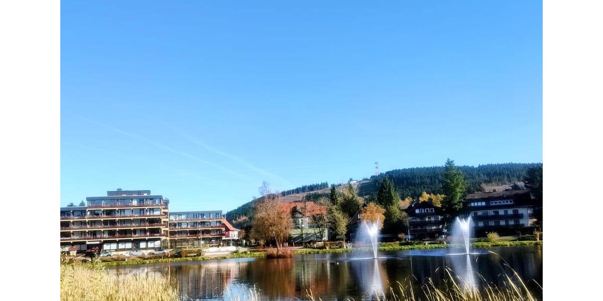 Erdgeschoßwohnung Goslar OS Hahnenklee-Bockswiese - 1 Zimmer, 30 m&sup2;, 47.000&euro; | Angebot:26953290