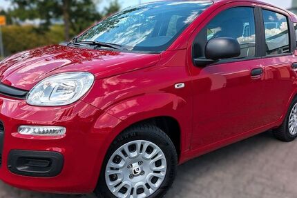 Fiat Panda 6.600 km 14.490 &euro; Wiehl 51674