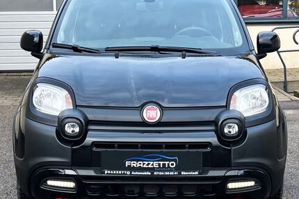 Fiat Panda 19.461 km 12.900 &euro; Eberstadt 74246