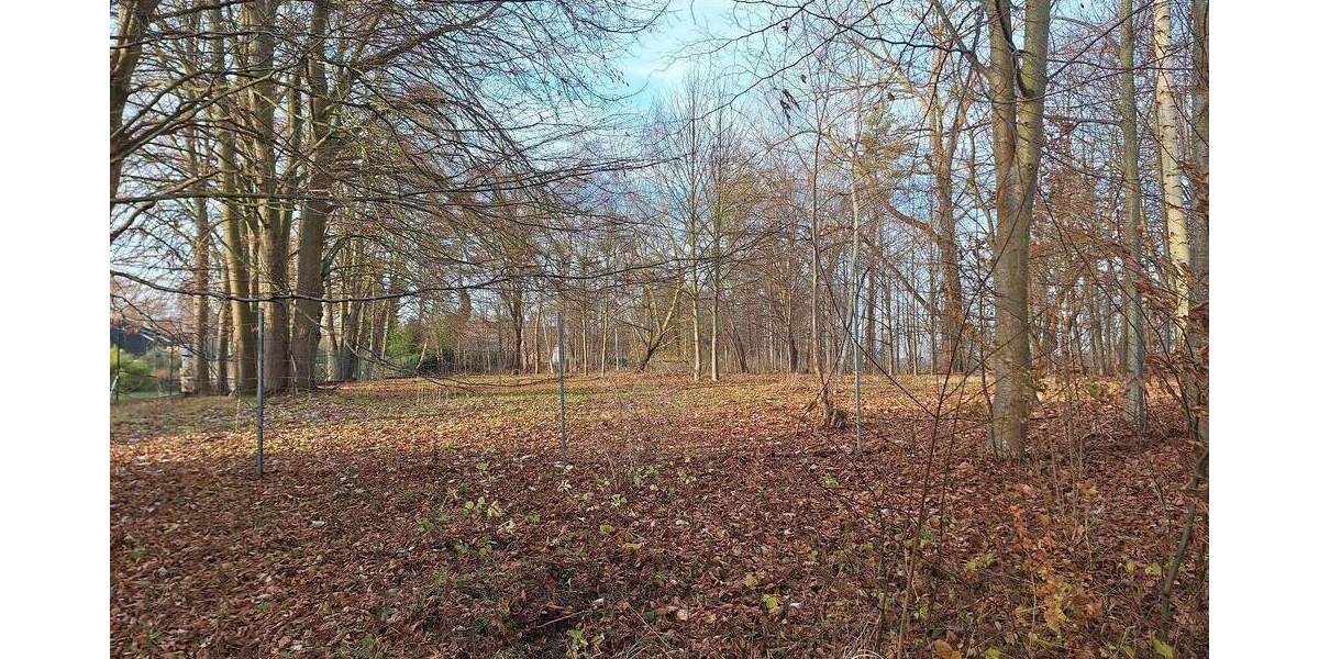 Riesen-Grundstück, zusätzl. Bauland, Riesen-Garage, Stall - Großzügiges Wohnhaus in Greifswald 7 zimmer