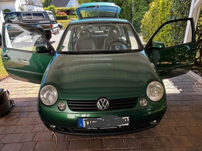 Lupo