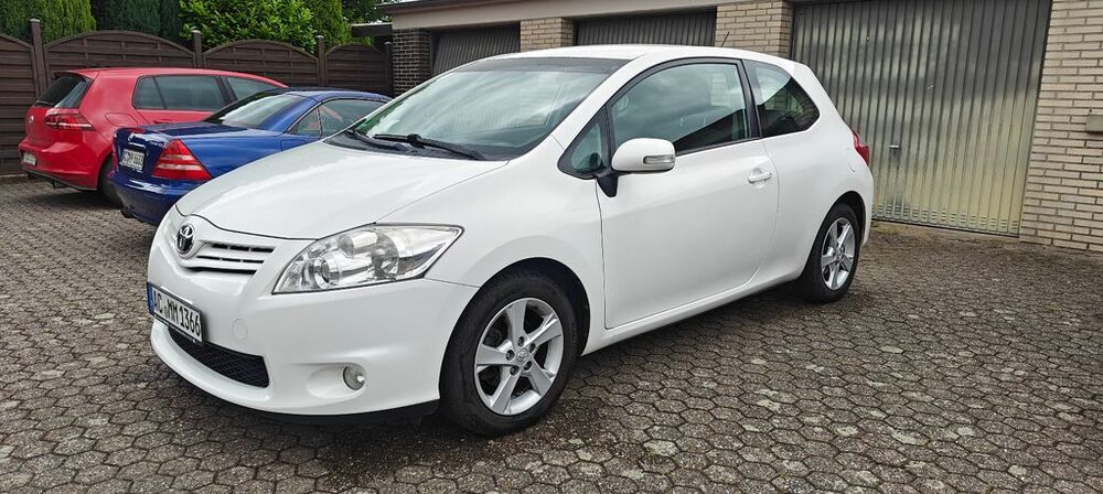 Auris