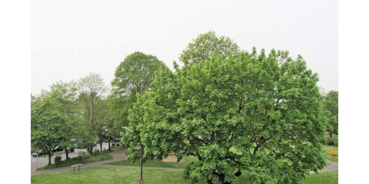 Etagenwohnung Alfter / Bonn Oedekoven - 2 Zimmer, 57 m&sup2;, 239.000&euro; | Angebot:25897493