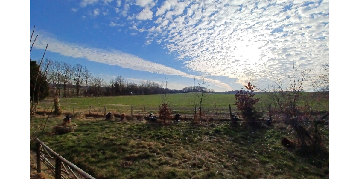 !!! Baugrundstück !!! mit traumhaften Ausblick über Felder - Zweifamilienhaus Zarpen | Angebot:26006779