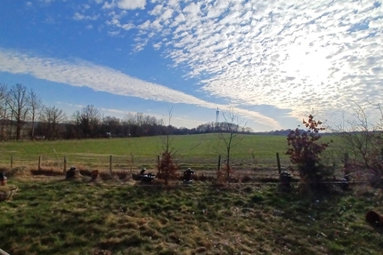 2 Blockbohlenhäuser mit ca. 1.000 m² Eigenland und traumhaftem Ausblick zum günstigen Preis! - Haus Zarpen | Angebot:26006779