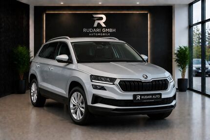 Skoda Karoq 159.575 km 17.500 &euro; Frankfurt am Main 60386