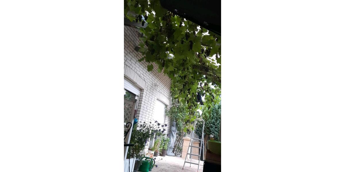 Einfamilienhaus Warburg - 7 Zimmer, 168 m&sup2;, 320.000&euro; | Angebot:26278421