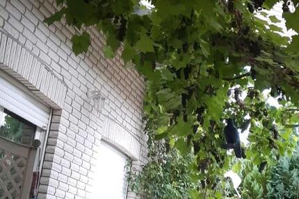 Haus Warburg - 7 Zimmer, 168 m&sup2;, 320.000&euro; | Angebot:26278421