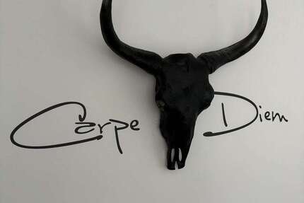 Zimmer Leipzig Ost - 2 Zimmer, 1.290&euro; | Angebot:24987560