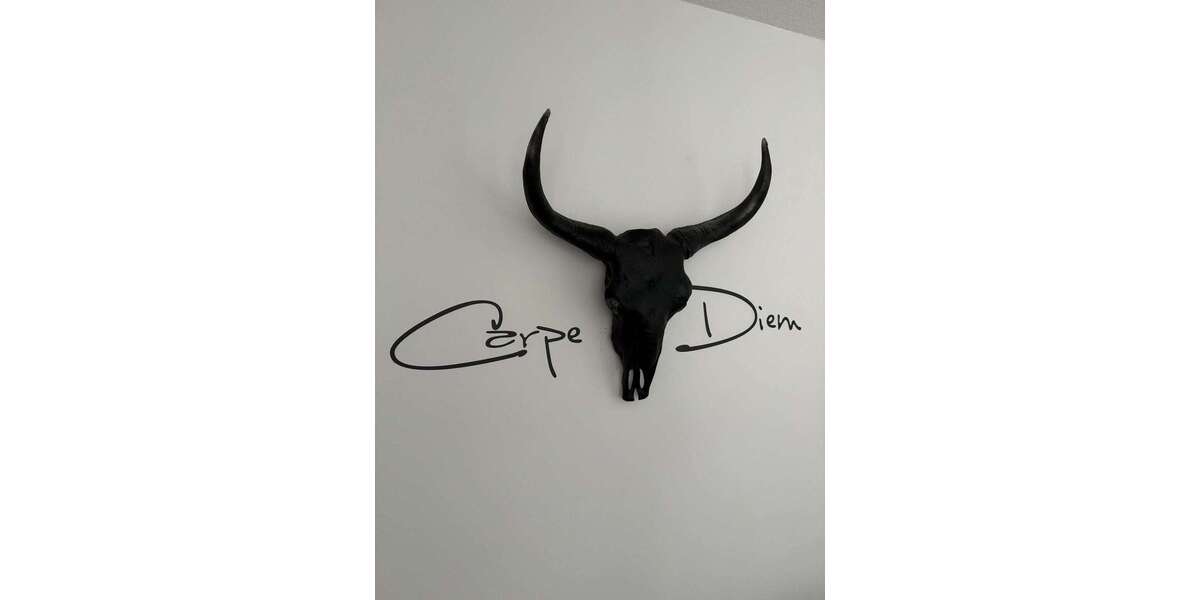 Zimmer Leipzig Ost - 2 Zimmer, 1.290&euro; | Angebot:24987560