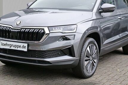 Skoda Karoq 9.000 km 32.850 &euro; Worms 67547