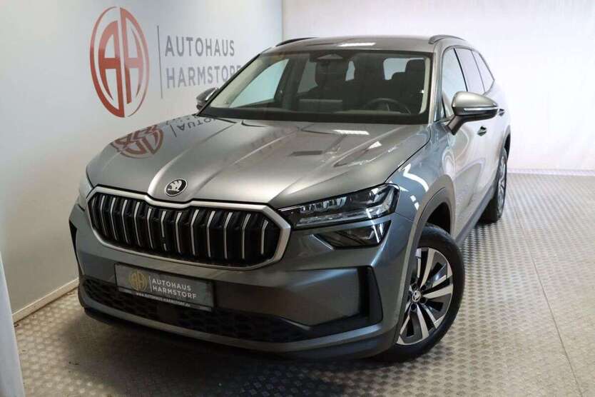 Skoda Kodiaq 17.450 km 43.990 € Harmstorf 21228