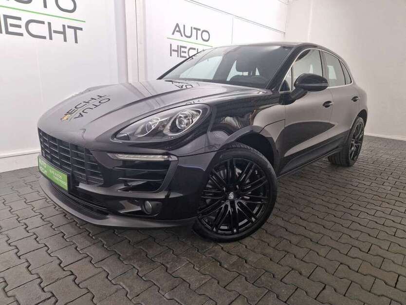 Macan