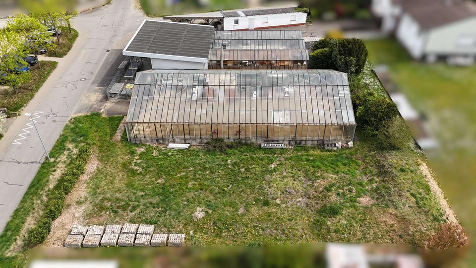 Gewerbeobjekt Ober-Ramstadt Ramstadt - 1.450&euro; | Angebot:24155028