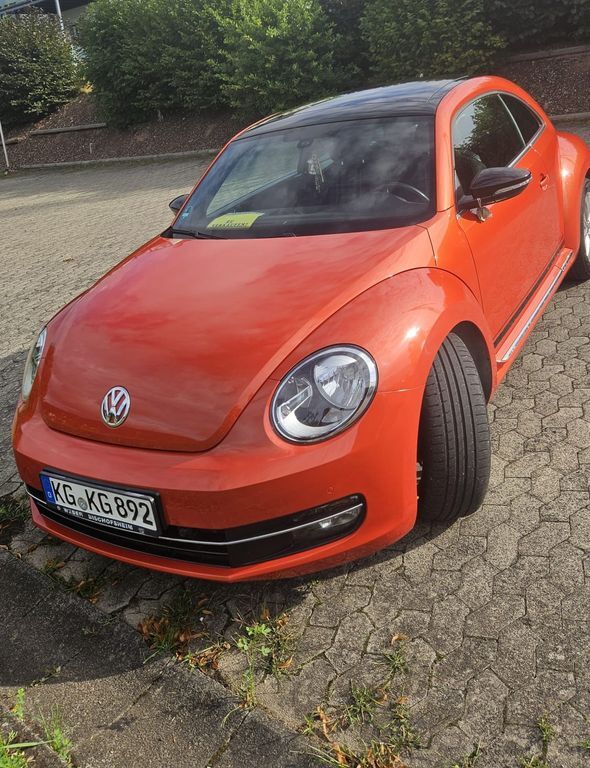 Beetle
