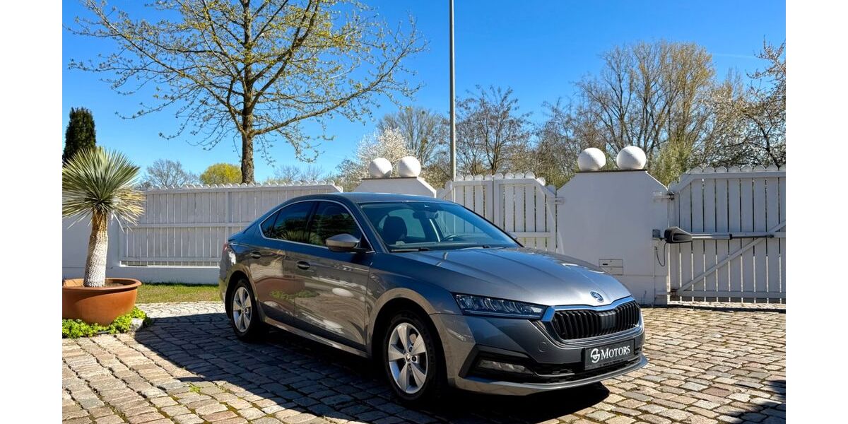 Skoda Octavia 119.066 km 17.500 &euro; Bellheim 76756