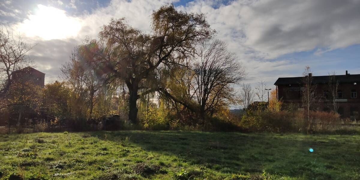 Grundstück Seelingstädt - 21.170&euro; | Angebot:25984017