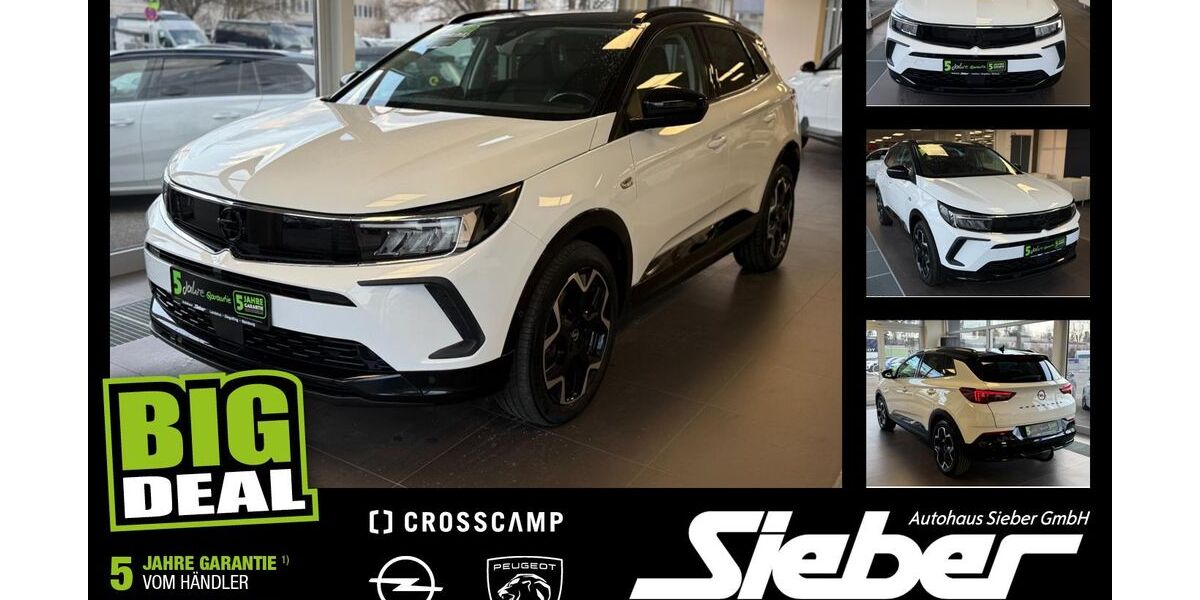Opel Grandland (X) 30.859 km 21.490 &euro; Landshut 84034
