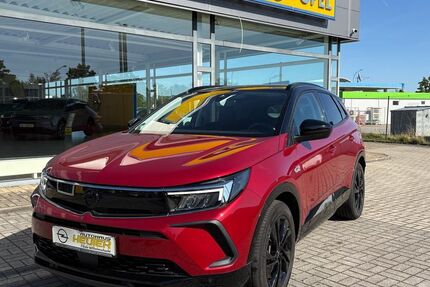 Opel Grandland (X) 47.737 km 21.990 € Borna 04552