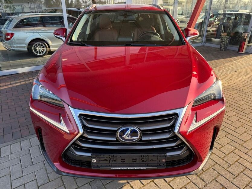 NX 300