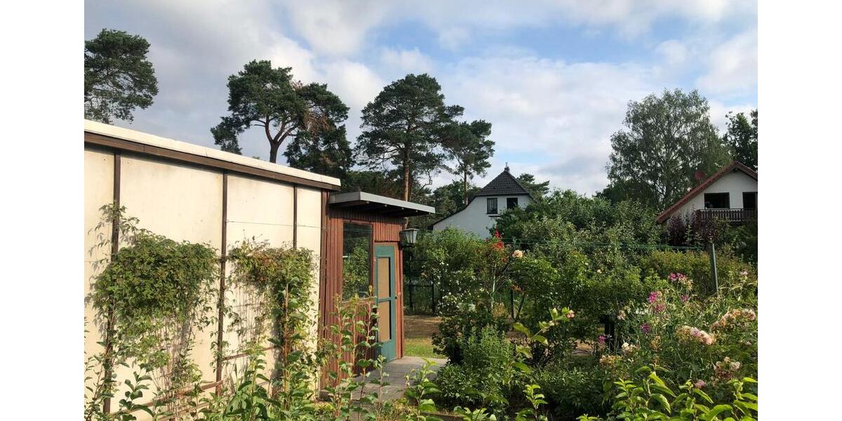 3-Zimmerwohnung mit Garten in Zeuthen 3 zimmer