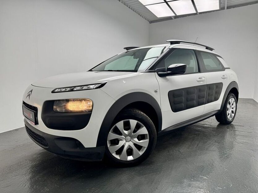 C4 Cactus