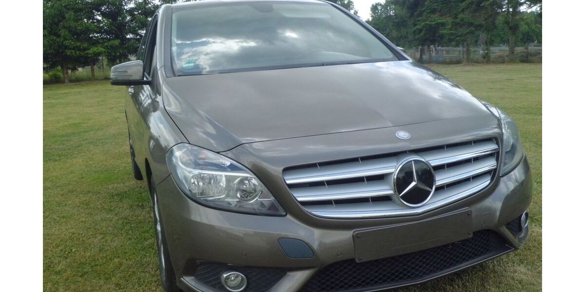 Mercedes-Benz B 180 161.365 km 11.495 &euro; Friedland OT Ramelow 17098