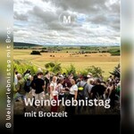 Weinerlebnistag