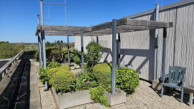 PENTHOUSE FEELING MIT SEITLICHEM MEERBLICK - Etagenwohnung Dahme | Angebot:26806763