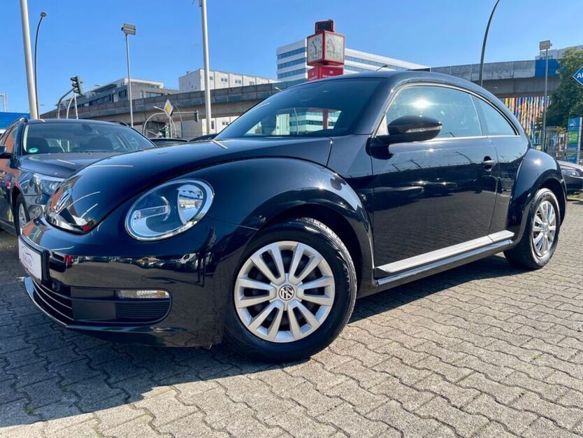 Beetle