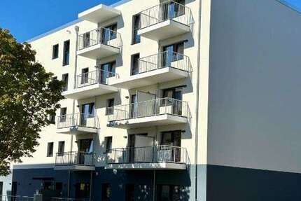 Wohnung Rostock Alt Bartelsdorf - 2 Zimmer, 38 m&sup2;, 359&euro; | Angebot:25626066