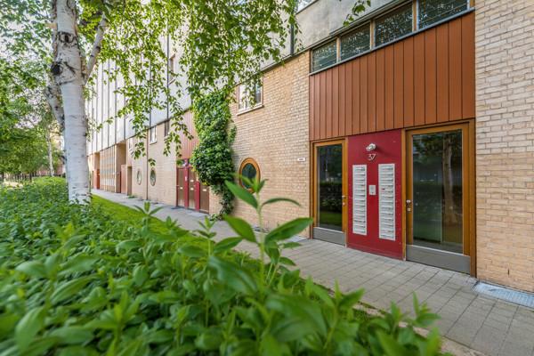 Etagenwohnung Dresden Pieschen - 1 Zimmer, 45 m&sup2;, 481&euro; | Angebot:26351179