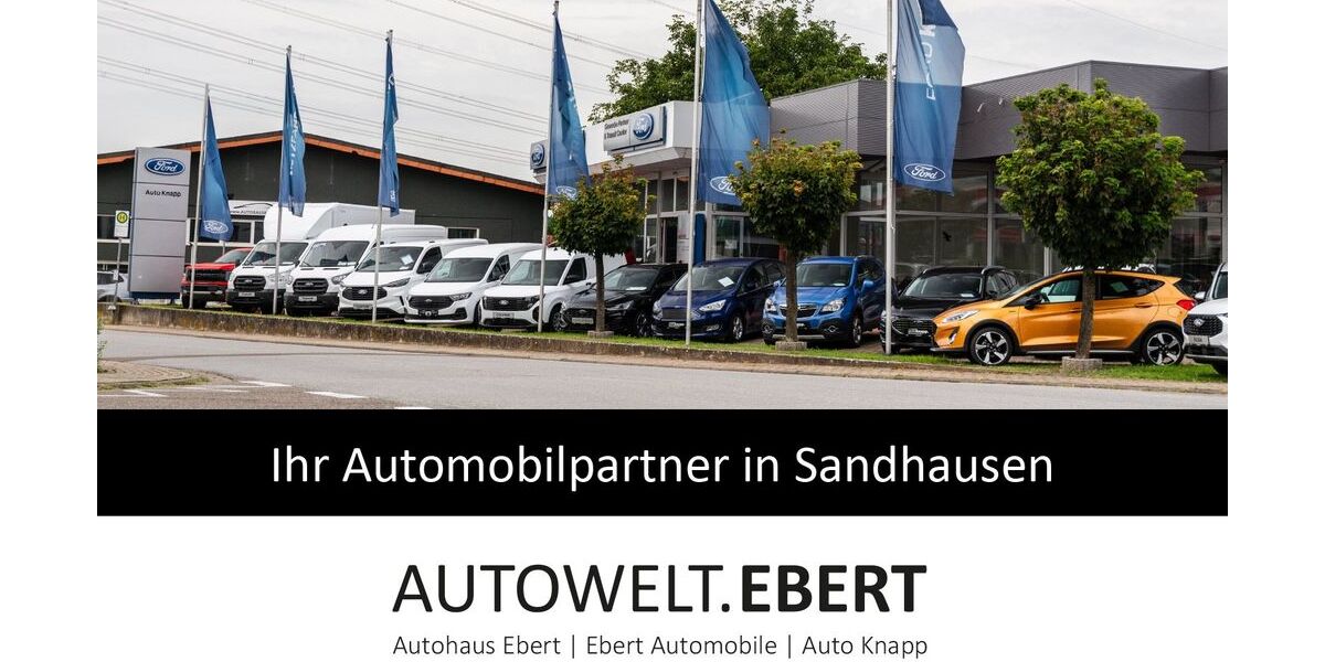 Skoda Karoq 75.000 km 23.690 &euro; Sandhausen 69207