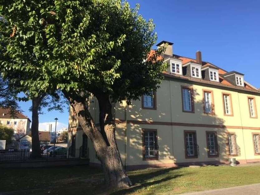 Wohnung zum Mieten in Ludwigshafen 650 € 50 m²
