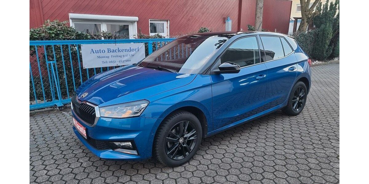 Skoda Fabia 45.000 km 16.590 &euro; Trier 54295