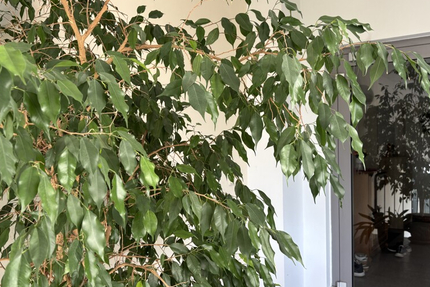 Seniorengerechte 3-Zimmer Eigentumswohnung mit Fahrstuhl und TG 3 zimmer