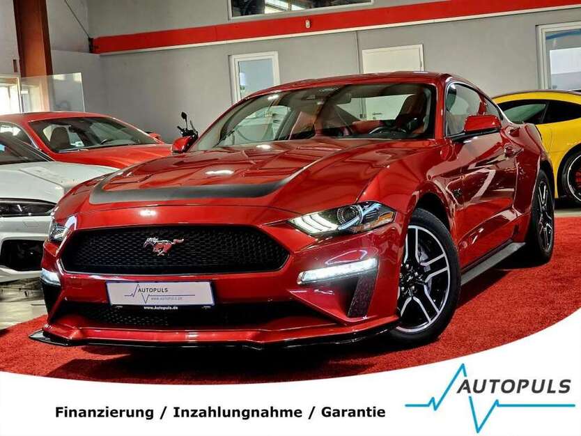 Mustang