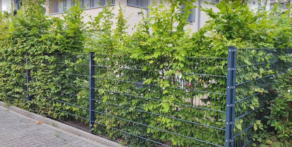 Etagenwohnung Frankfurt (Main) - Rödelheim Rödelheim - 3 Zimmer, 88 m&sup2;, 1.650&euro; | Angebot:26821985