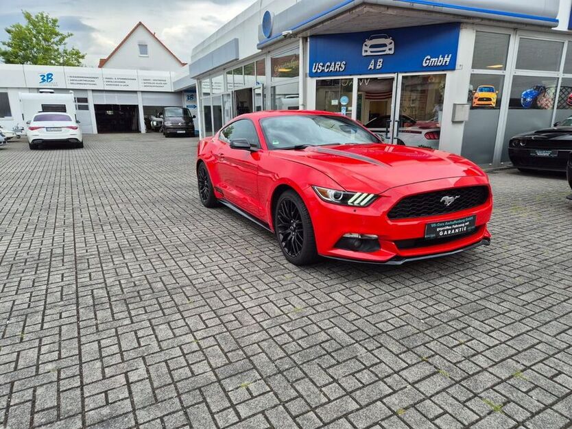 Mustang