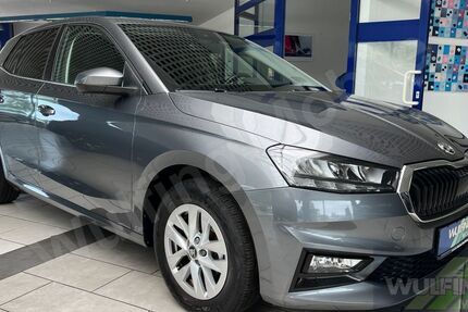 Skoda Fabia 21.308 km 17.890 &euro; Bergen 18528