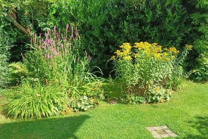 Haus Rinteln - 5 Zimmer, 140 m&sup2;, 275.000&euro; | Angebot:25634428