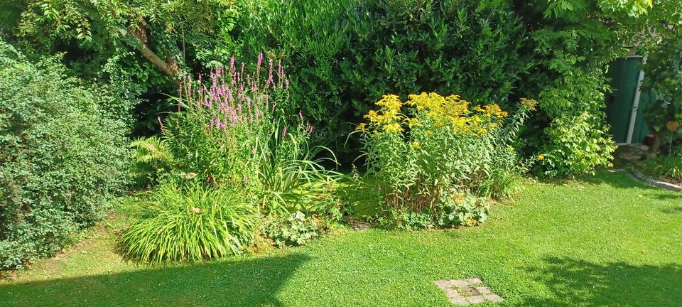 Reihenhaus Rinteln - 5 Zimmer, 140 m&sup2;, 275.000&euro; | Angebot:25634428