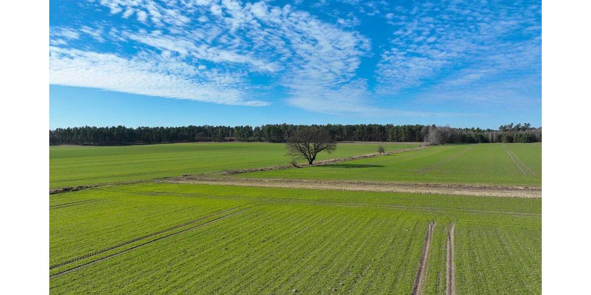 Mehrfamilienhaus, Wohnhaus Arendsee (Altmark) Neulingen - 1 Zimmer, 409 m&sup2;, 394.000&euro; | Angebot:26161158